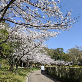 大阪府営 寝屋川公園の写真9