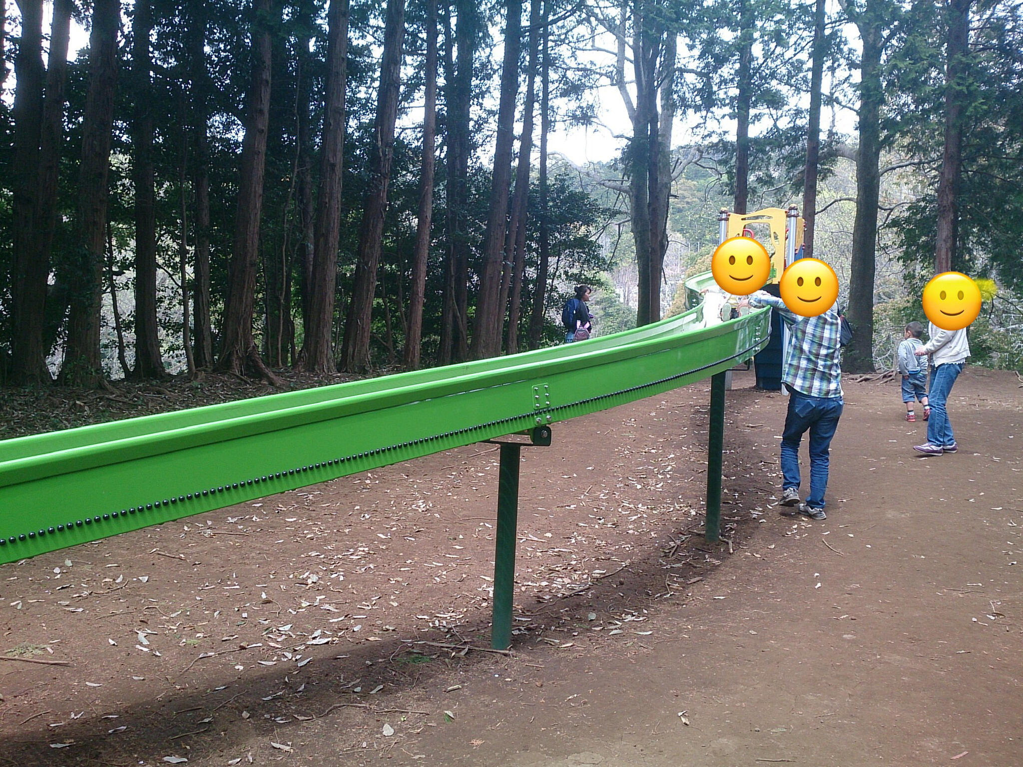 愛鷹運動公園の代表写真2