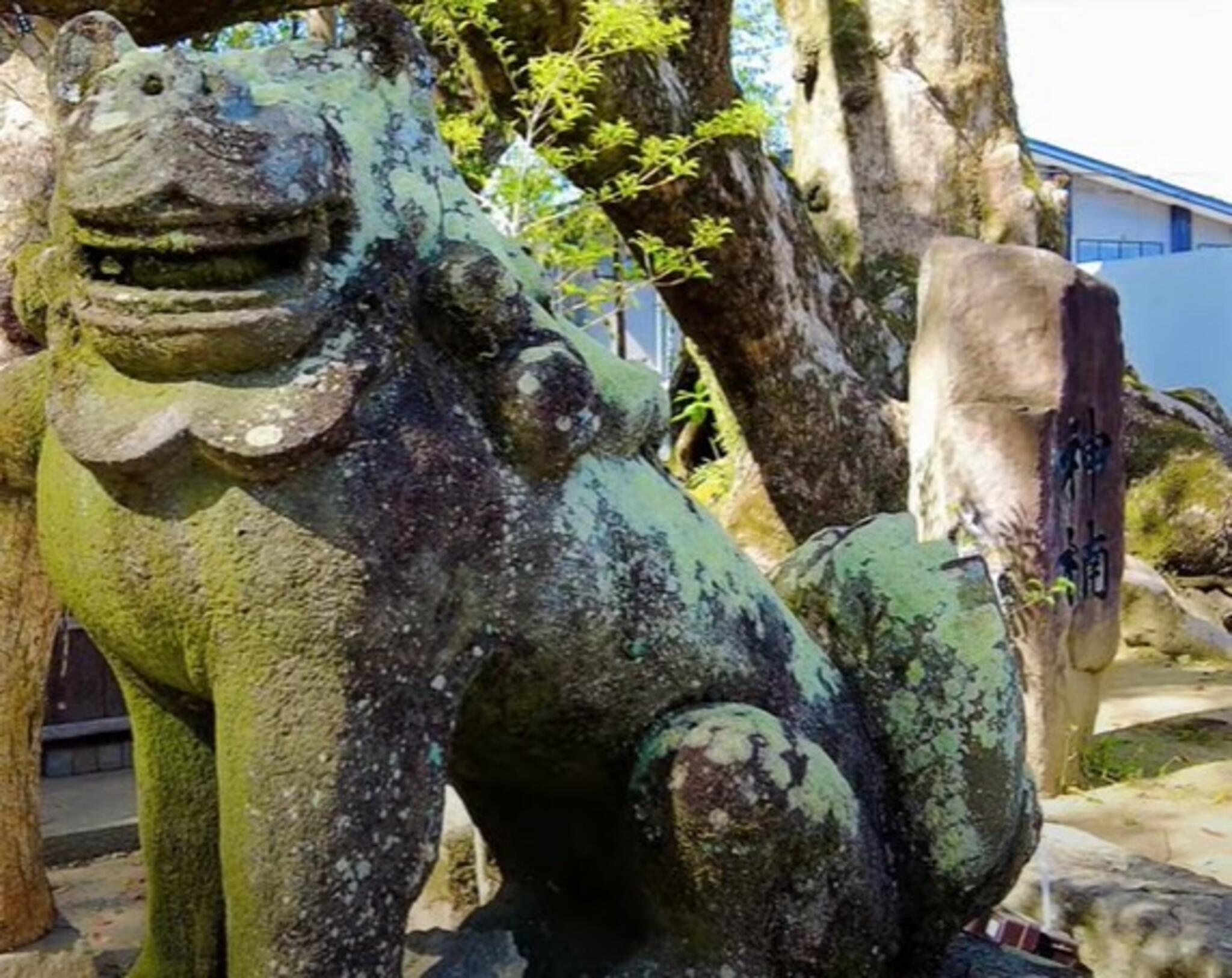 青井阿蘇神社の代表写真9
