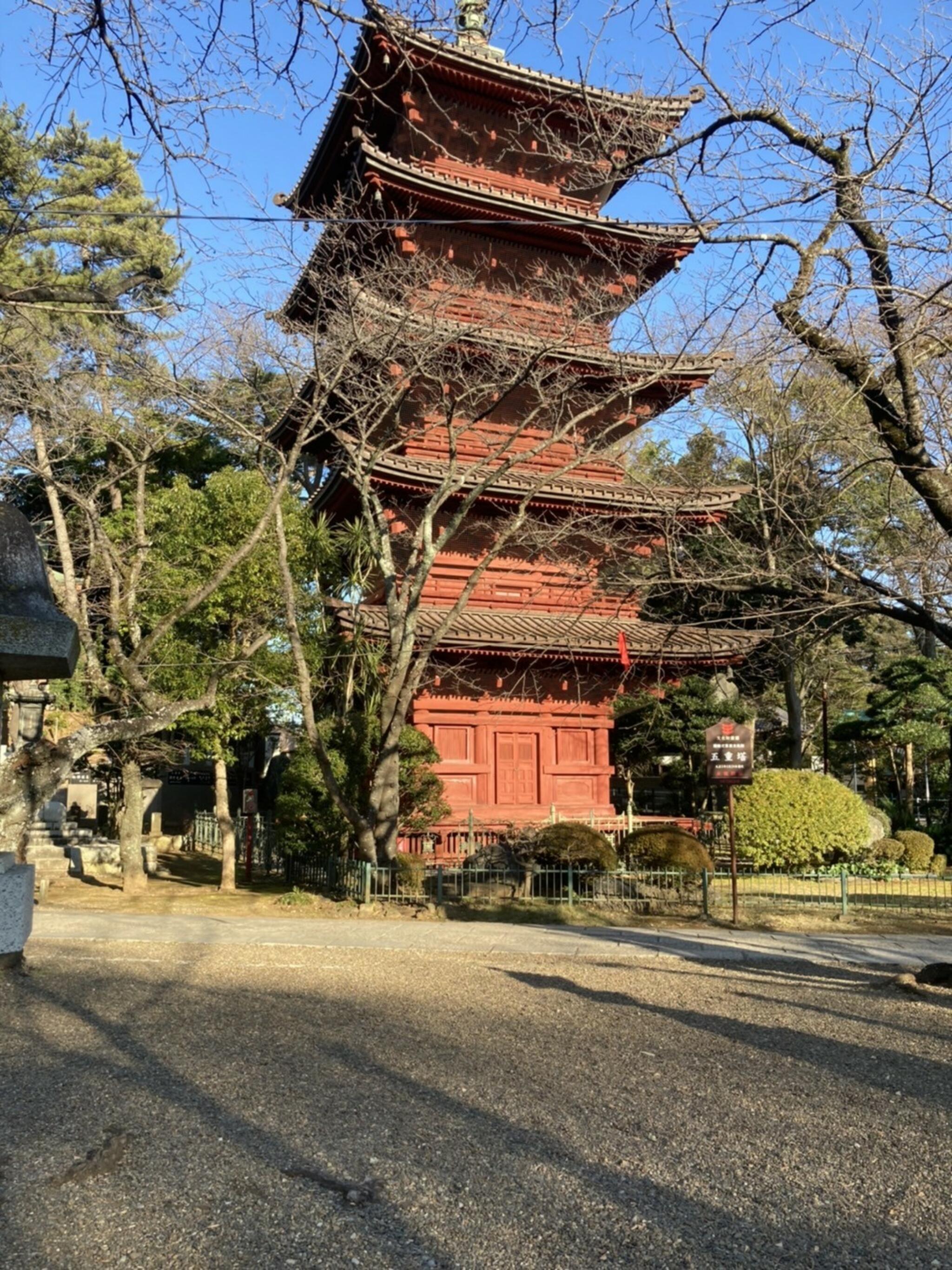 大本山 中山 法華経寺の代表写真8