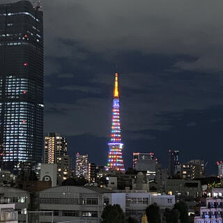 東京タワーの写真10