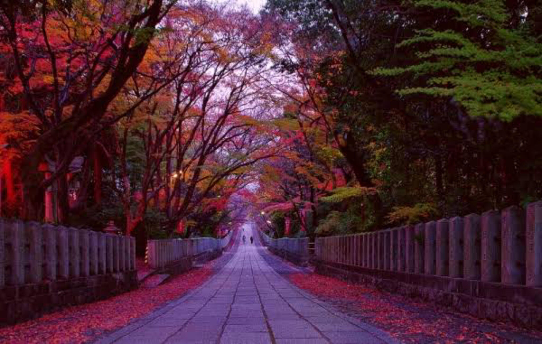 向日神社の代表写真10