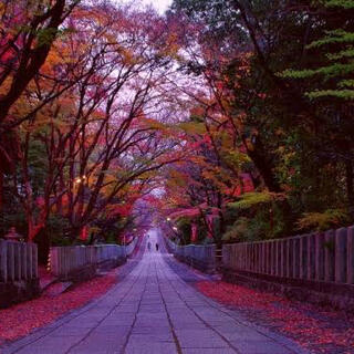 向日神社の写真10