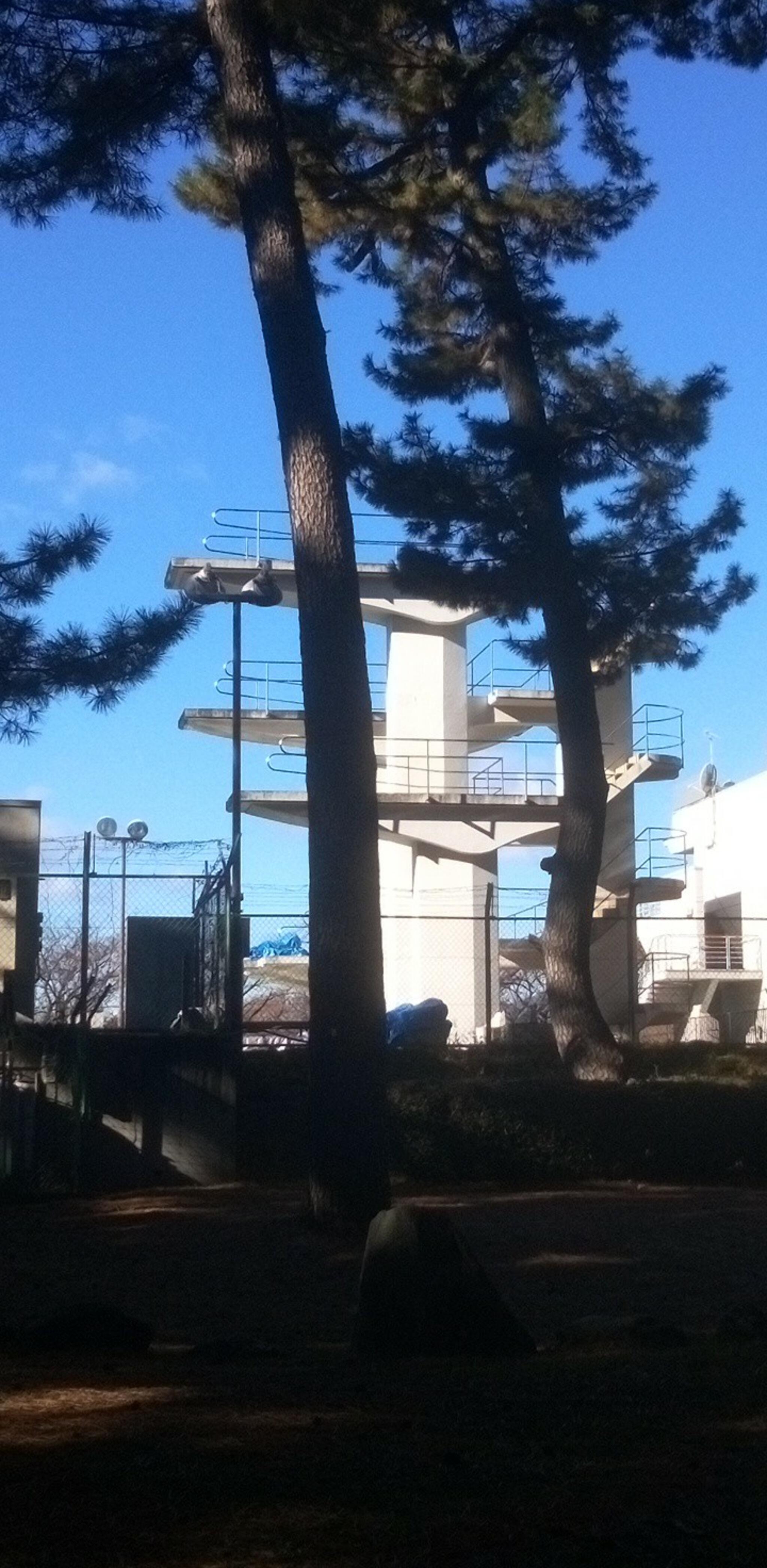 敷島公園 水泳場の代表写真7