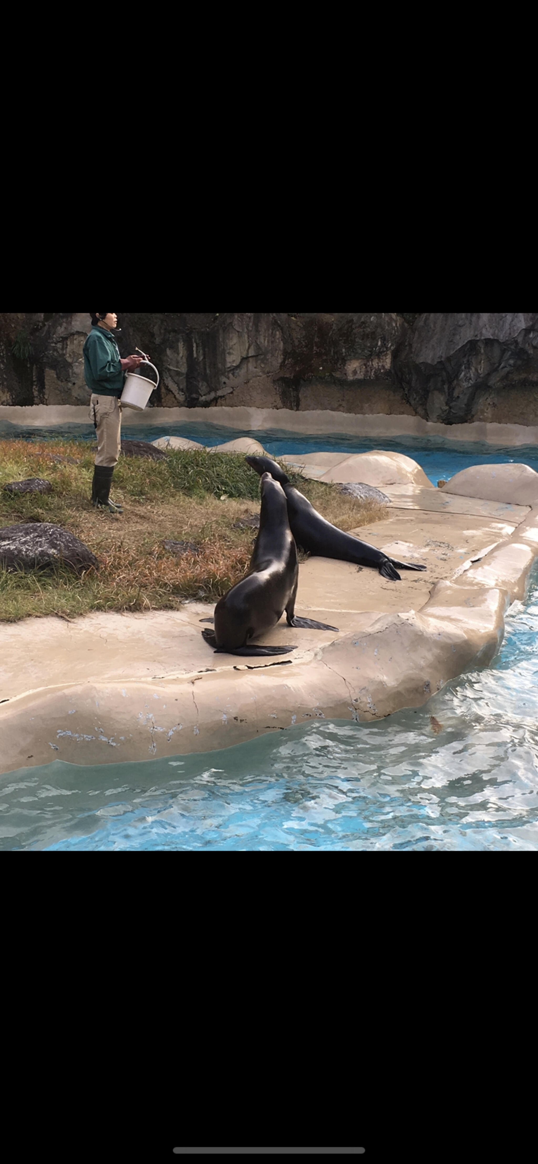 高知県立のいち動物園の代表写真2