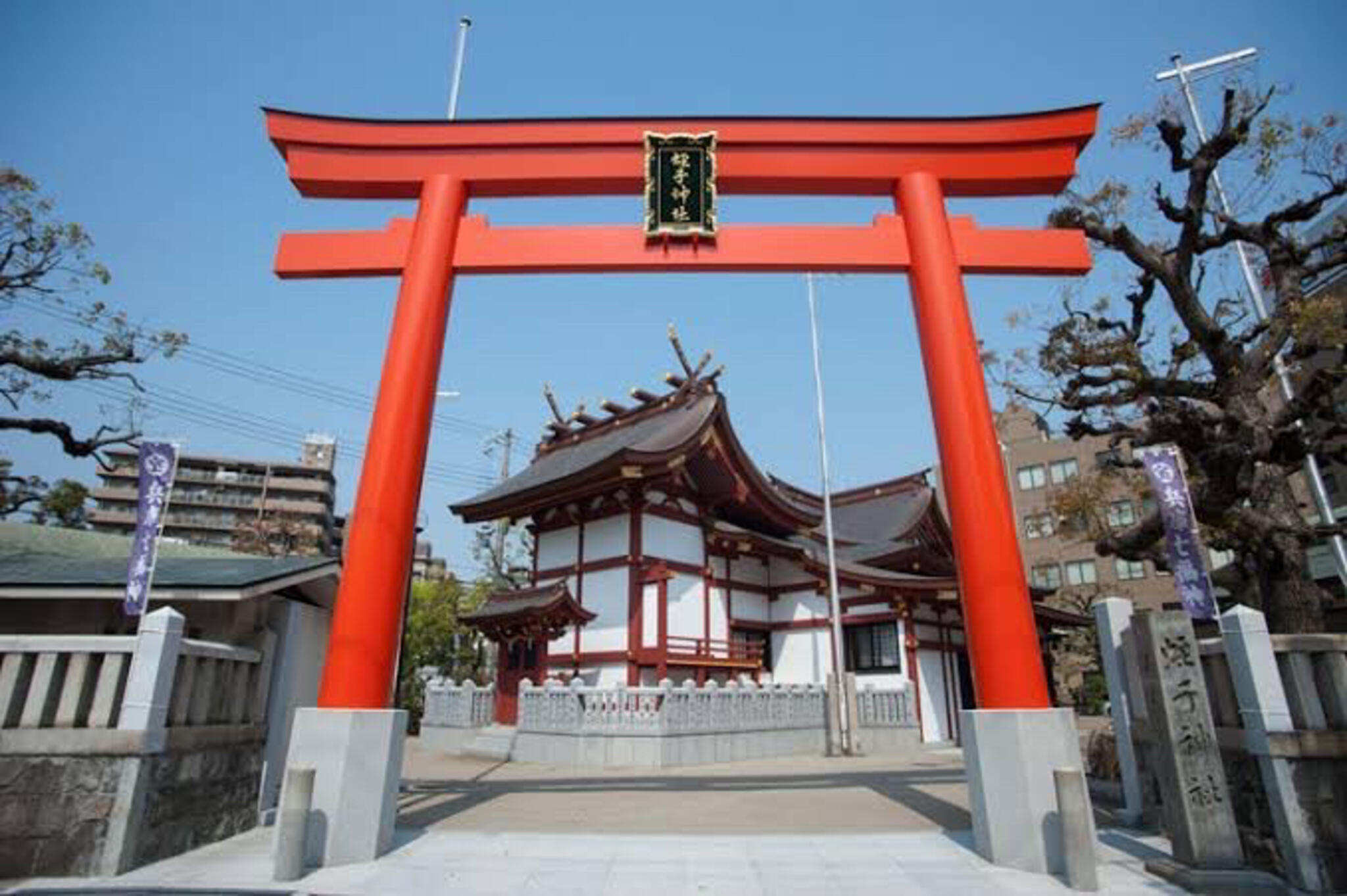 柳原蛭子神社の代表写真9