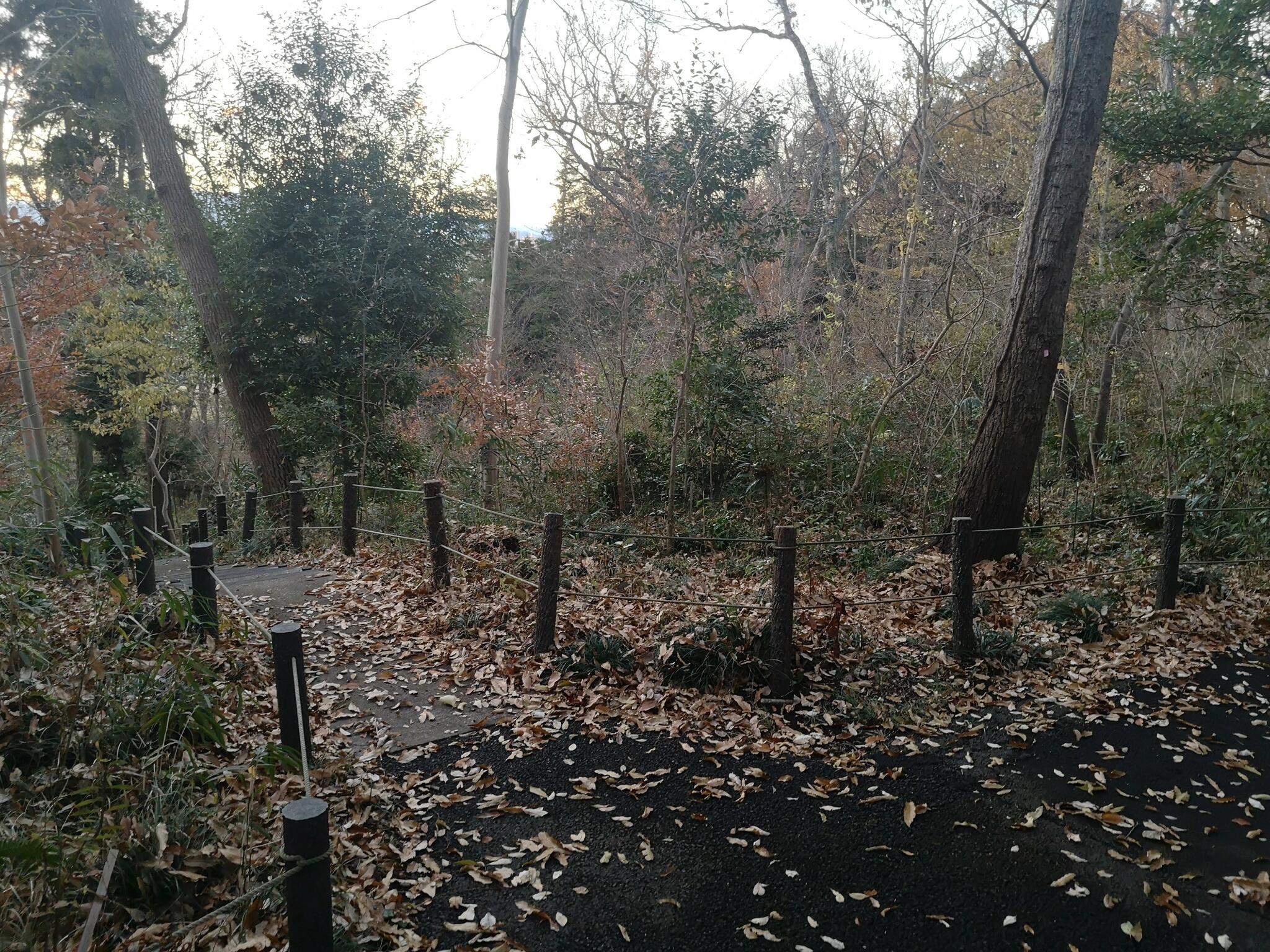 天王森泉公園の代表写真8