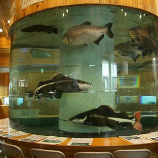 小林市出の山淡水魚水族館の写真7