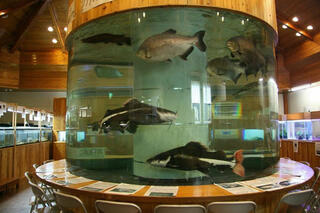 小林市出の山淡水魚水族館のクチコミ写真1