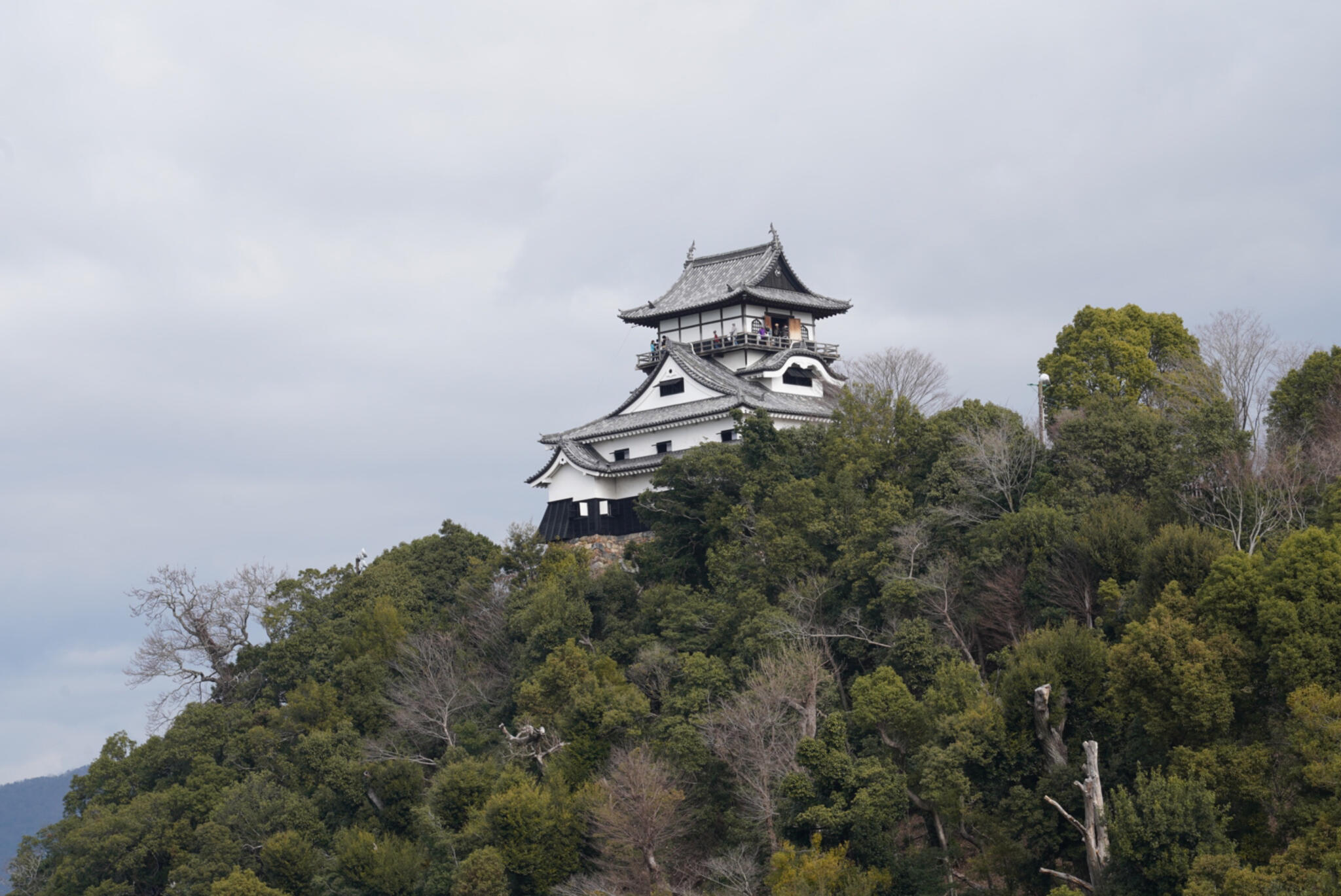 犬山神社の代表写真2