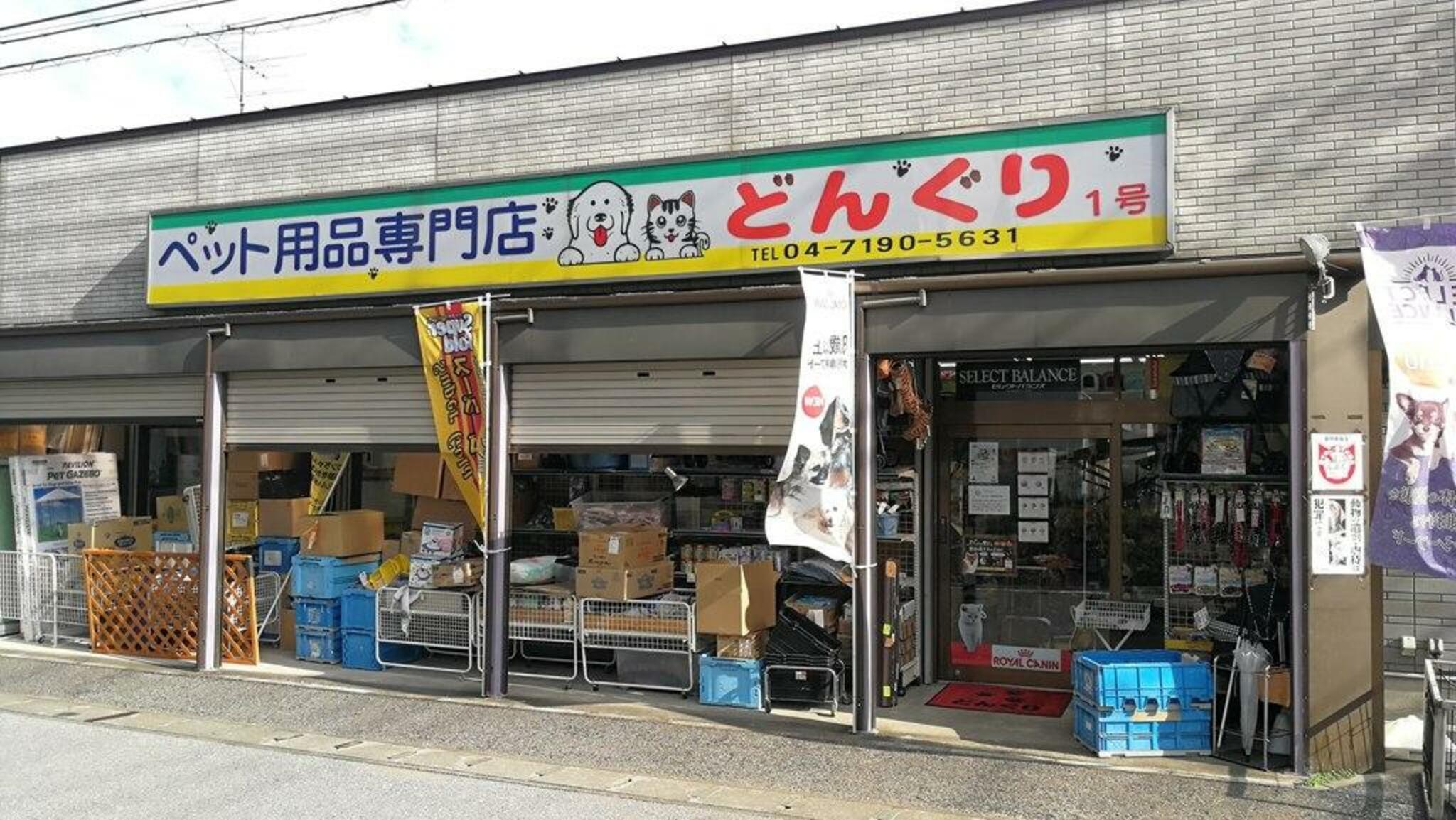 ペット 安い 用品 専門 店 どんぐり 1 号