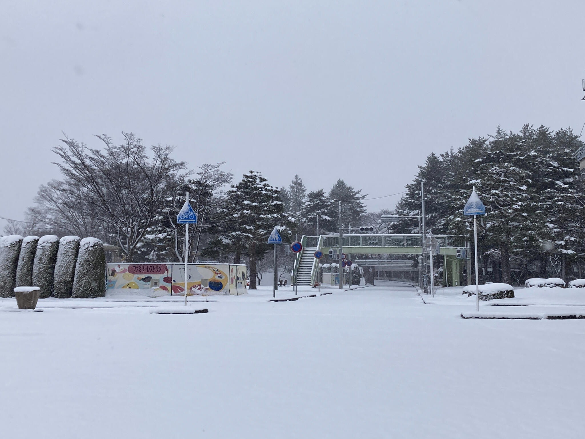 岩手県県営交通公園の代表写真1