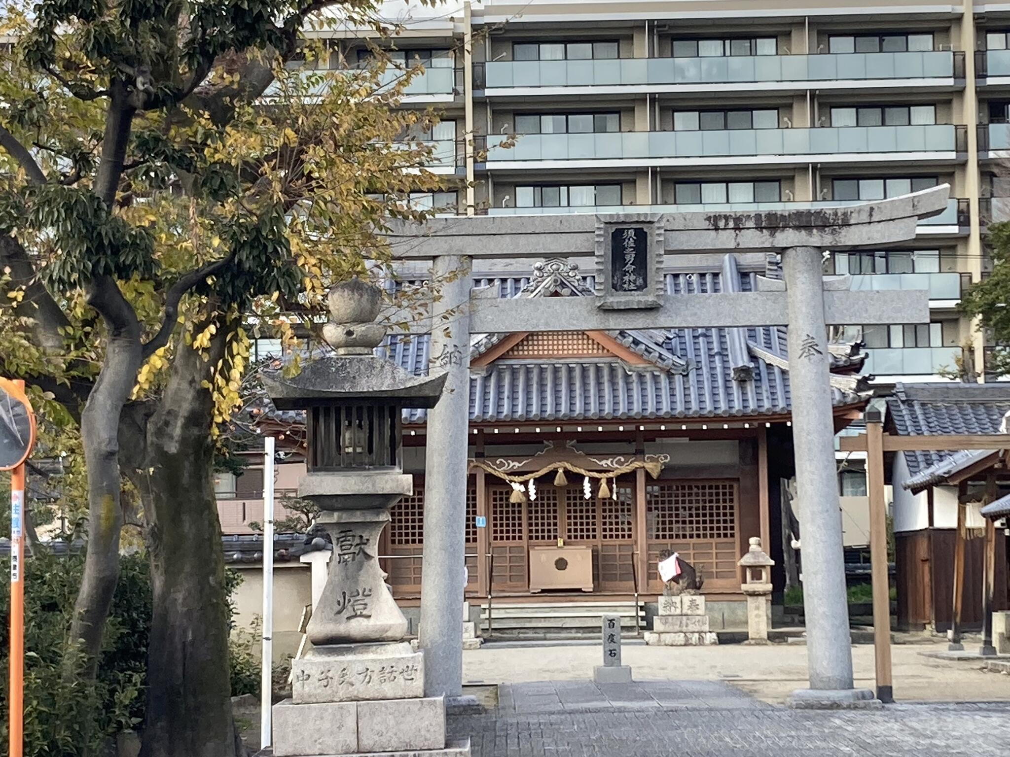 須佐之男命神社の代表写真1