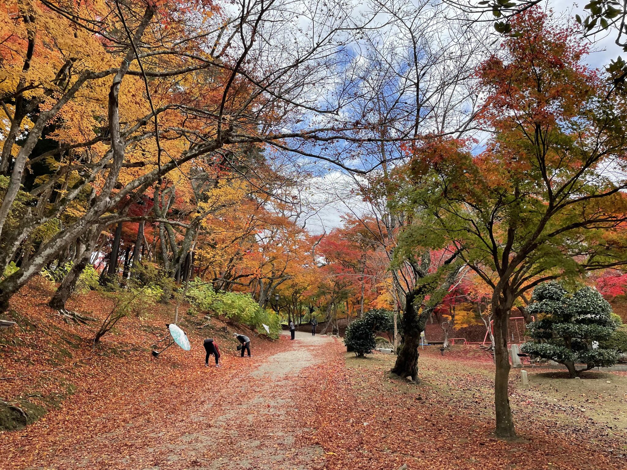 尾関山公園の代表写真8