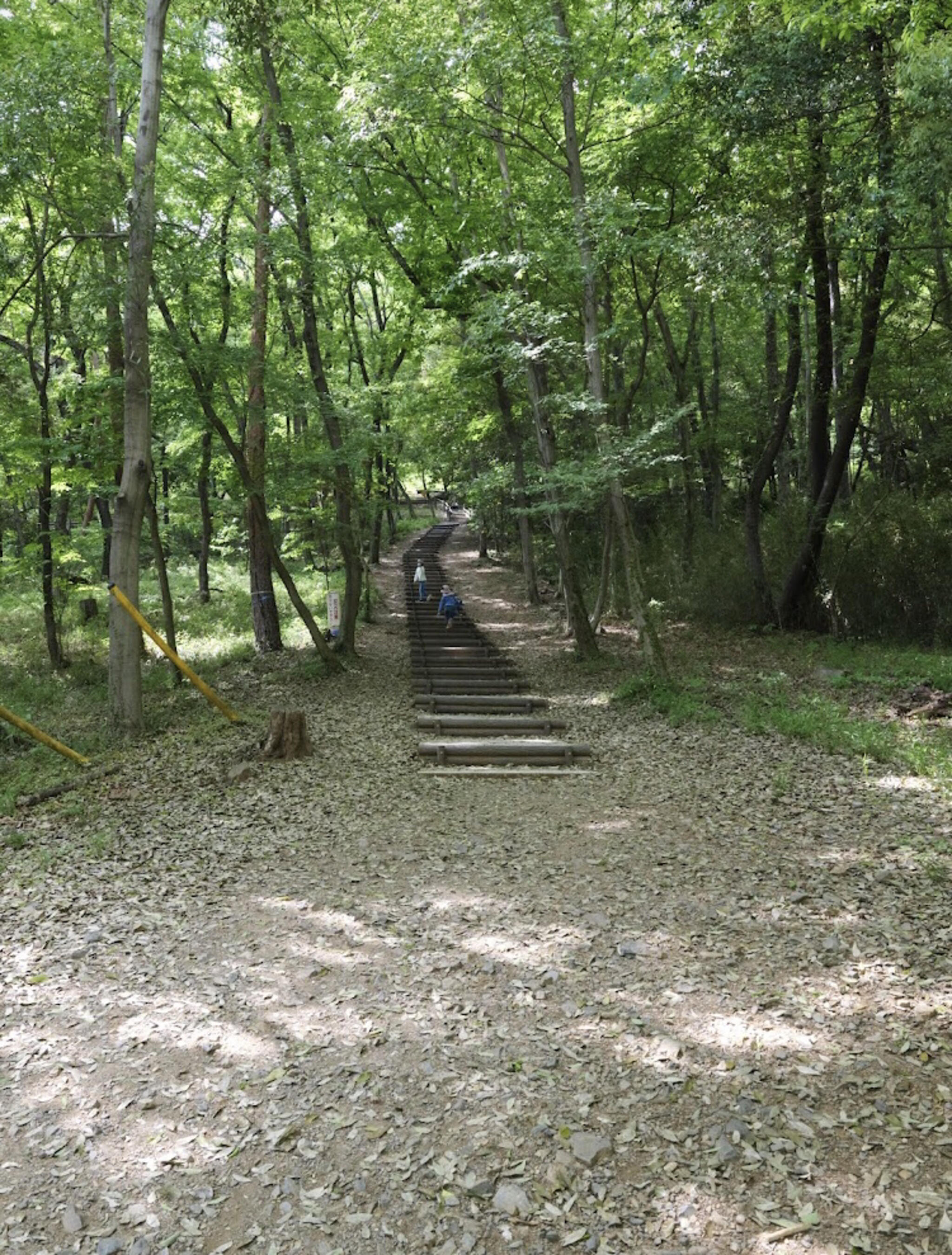 県南大規模公園の代表写真5