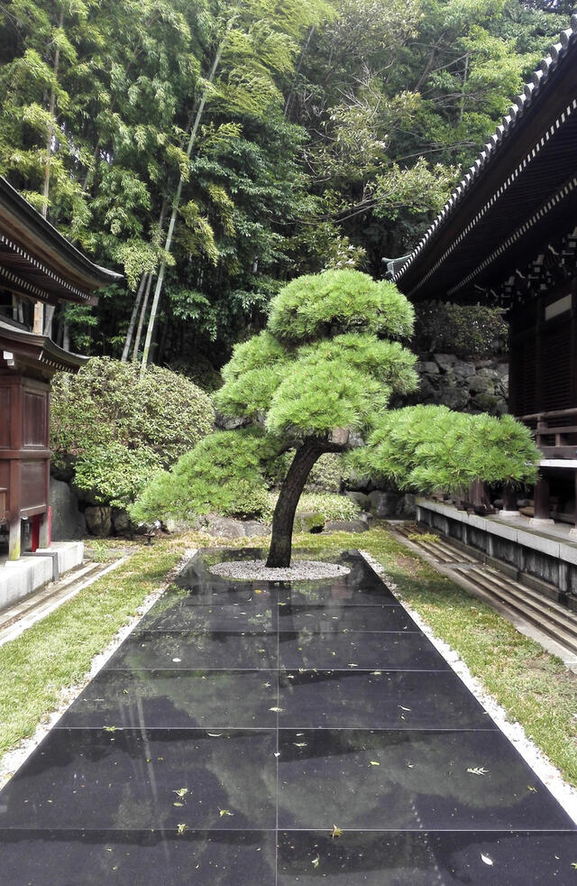 安養院 板橋区東新町/寺院 Yahoo!マップ
