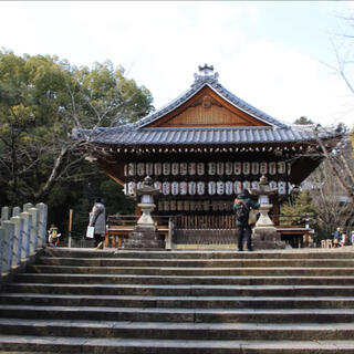 向日神社の写真7