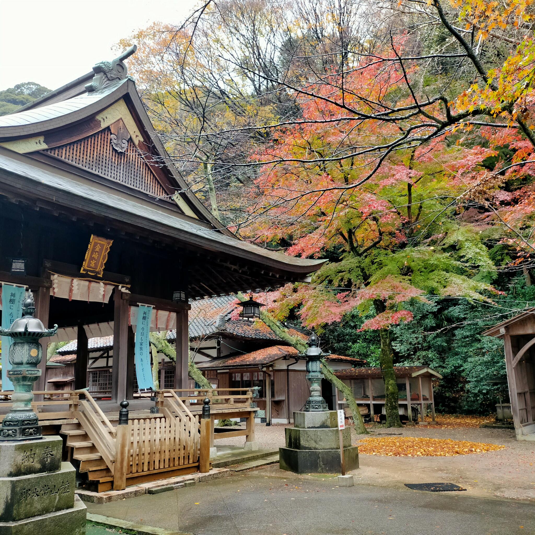 金崎宮(金ヶ崎公園)の代表写真1