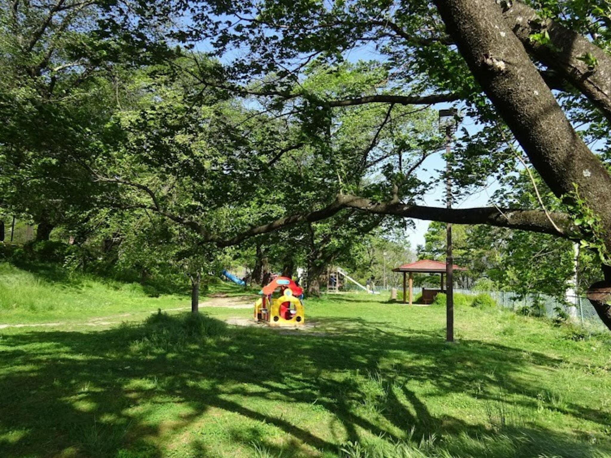 伊那公園の代表写真6