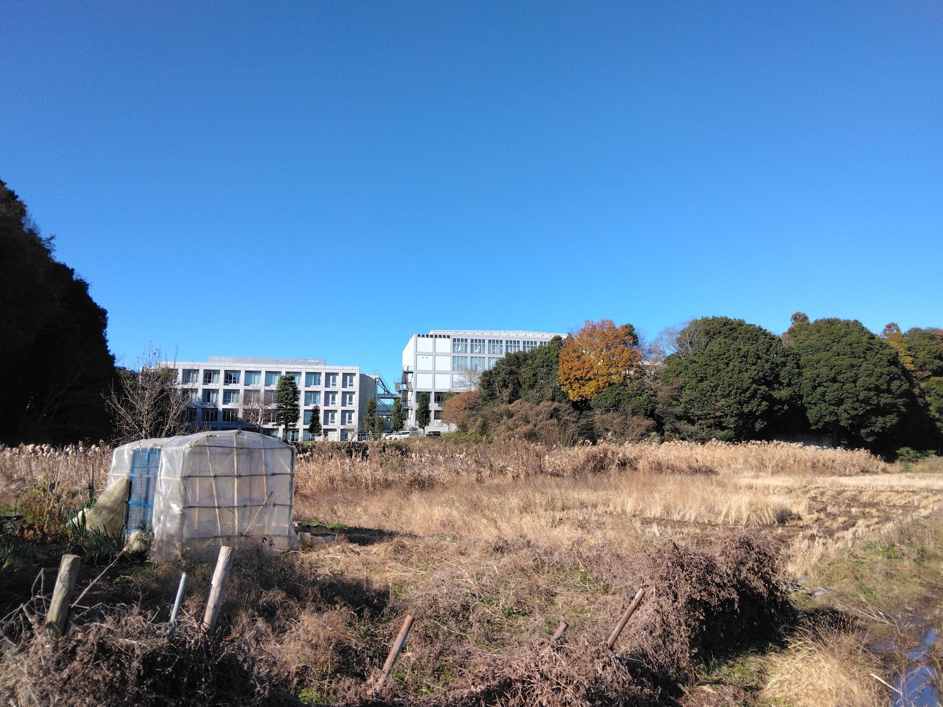 天王台 駅 から 中央 学院 高校 バス ストア