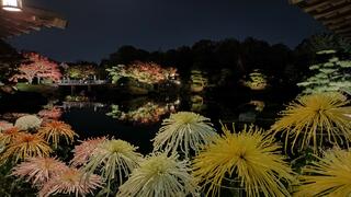 大仙公園日本庭園のクチコミ写真4