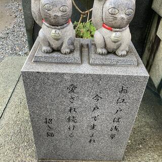 今戸神社の写真9