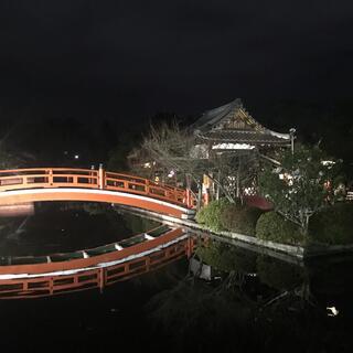 神泉苑の写真11