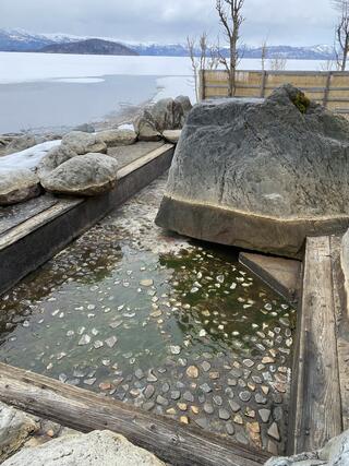 池の湯のクチコミ写真1