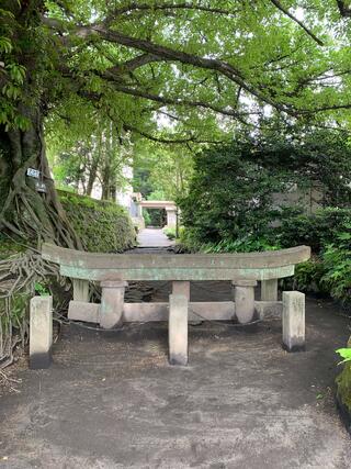 黒神埋没鳥居のクチコミ写真1