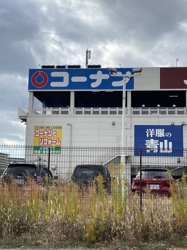 コーナン 今津 販売 ペット