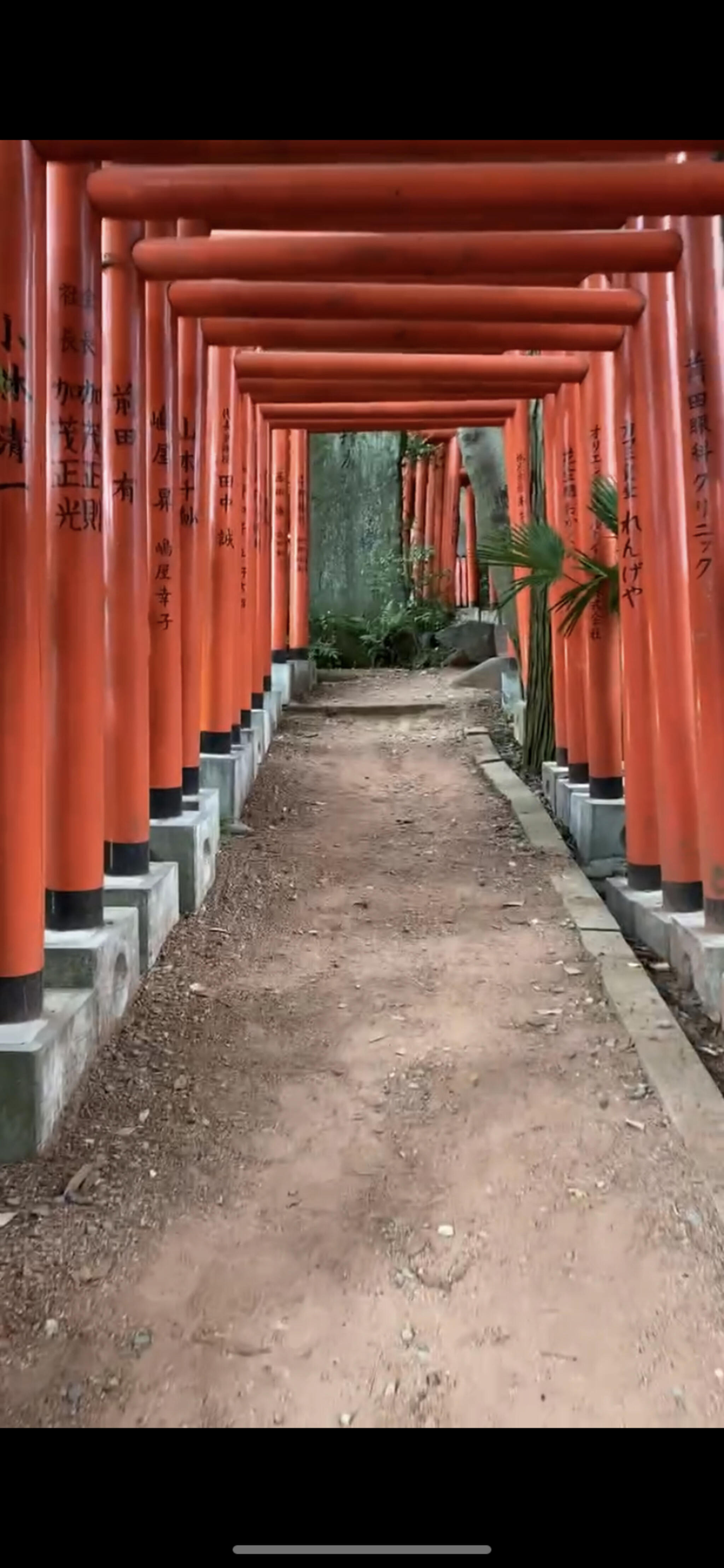 石浦神社の代表写真2