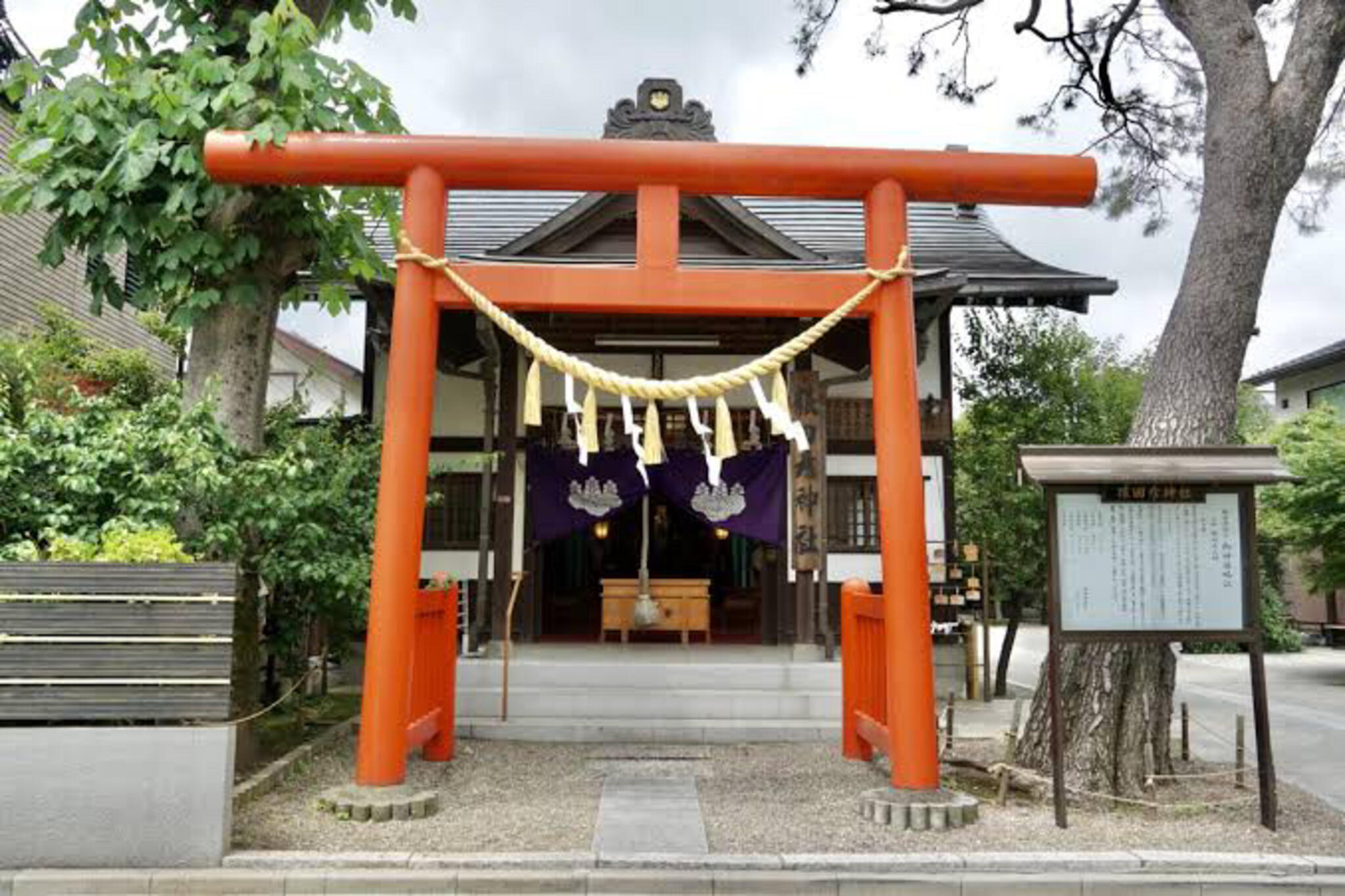 猿田彦神社の代表写真6