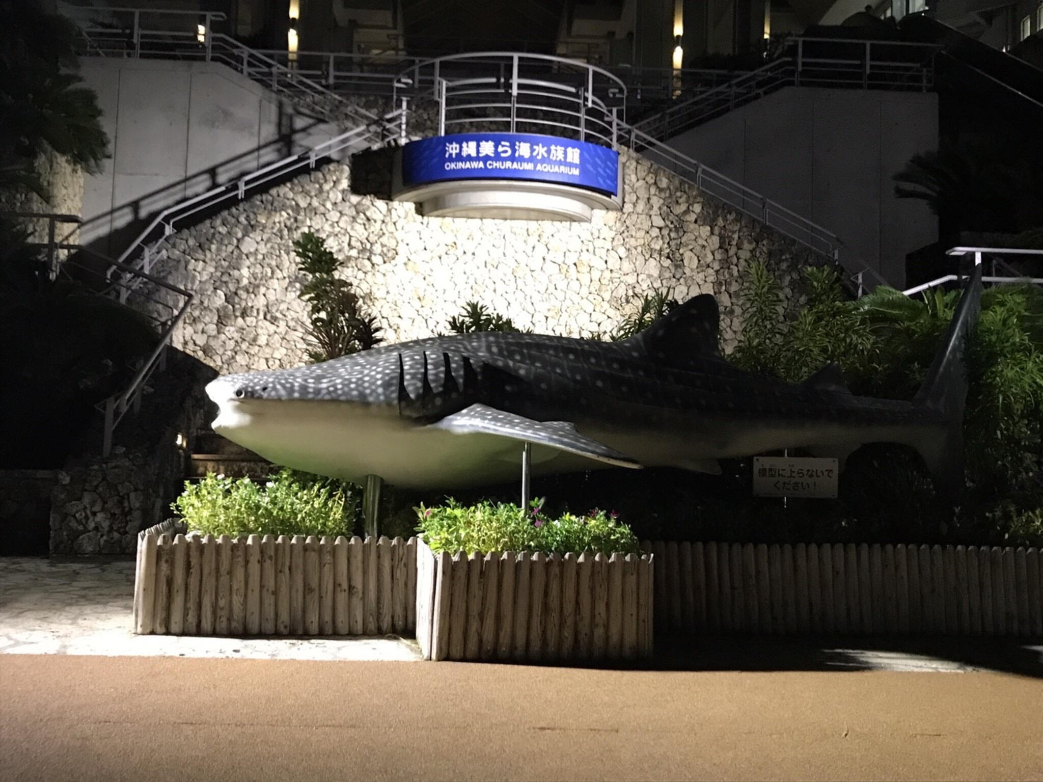 沖縄美ら海水族館の代表写真1