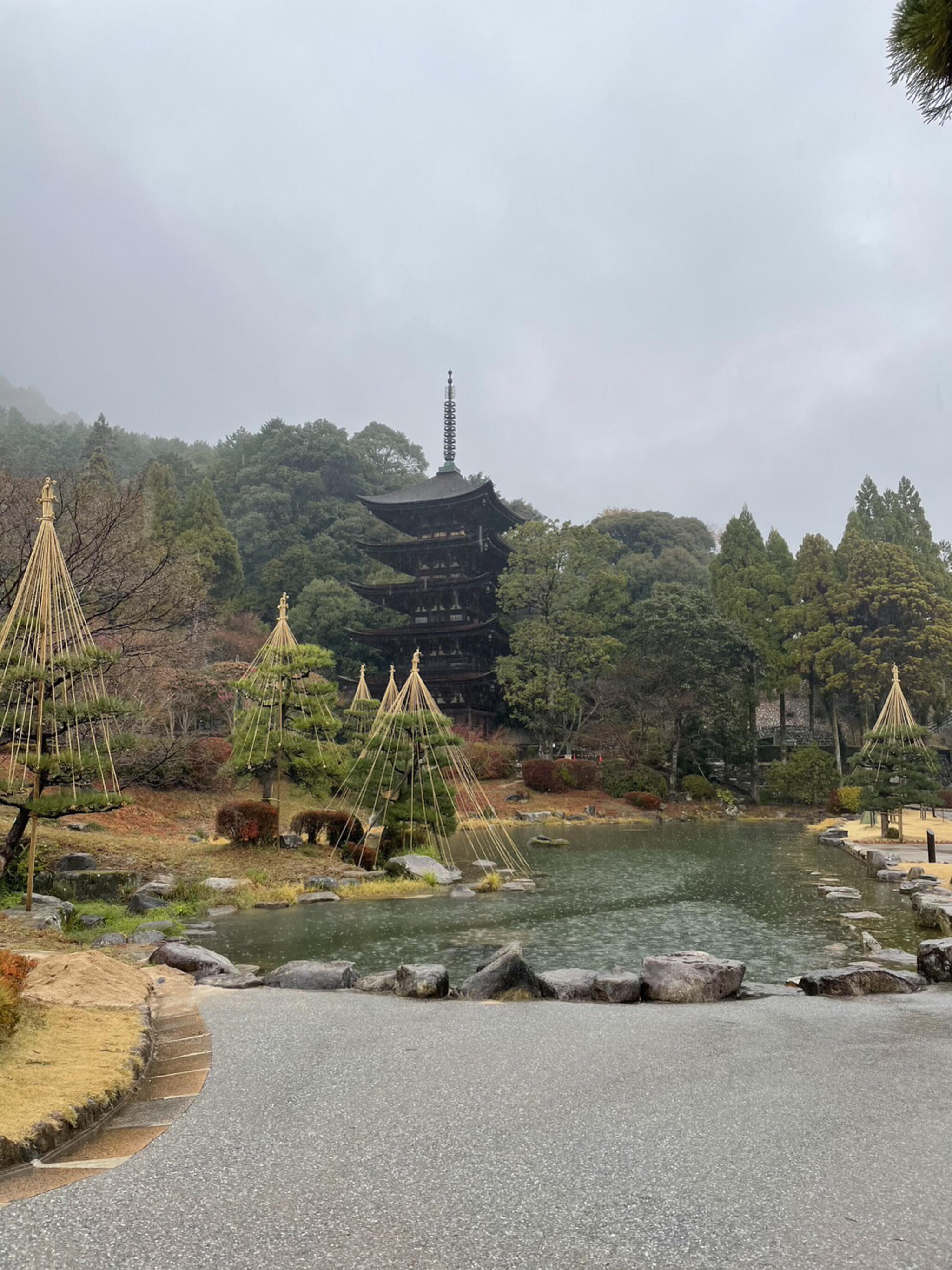 瑠璃光寺の代表写真5