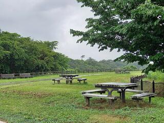 三崎公園のクチコミ写真2