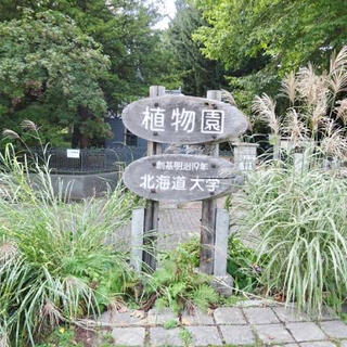 北海道大学植物園の写真27