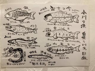 小川の魚のクチコミ写真5