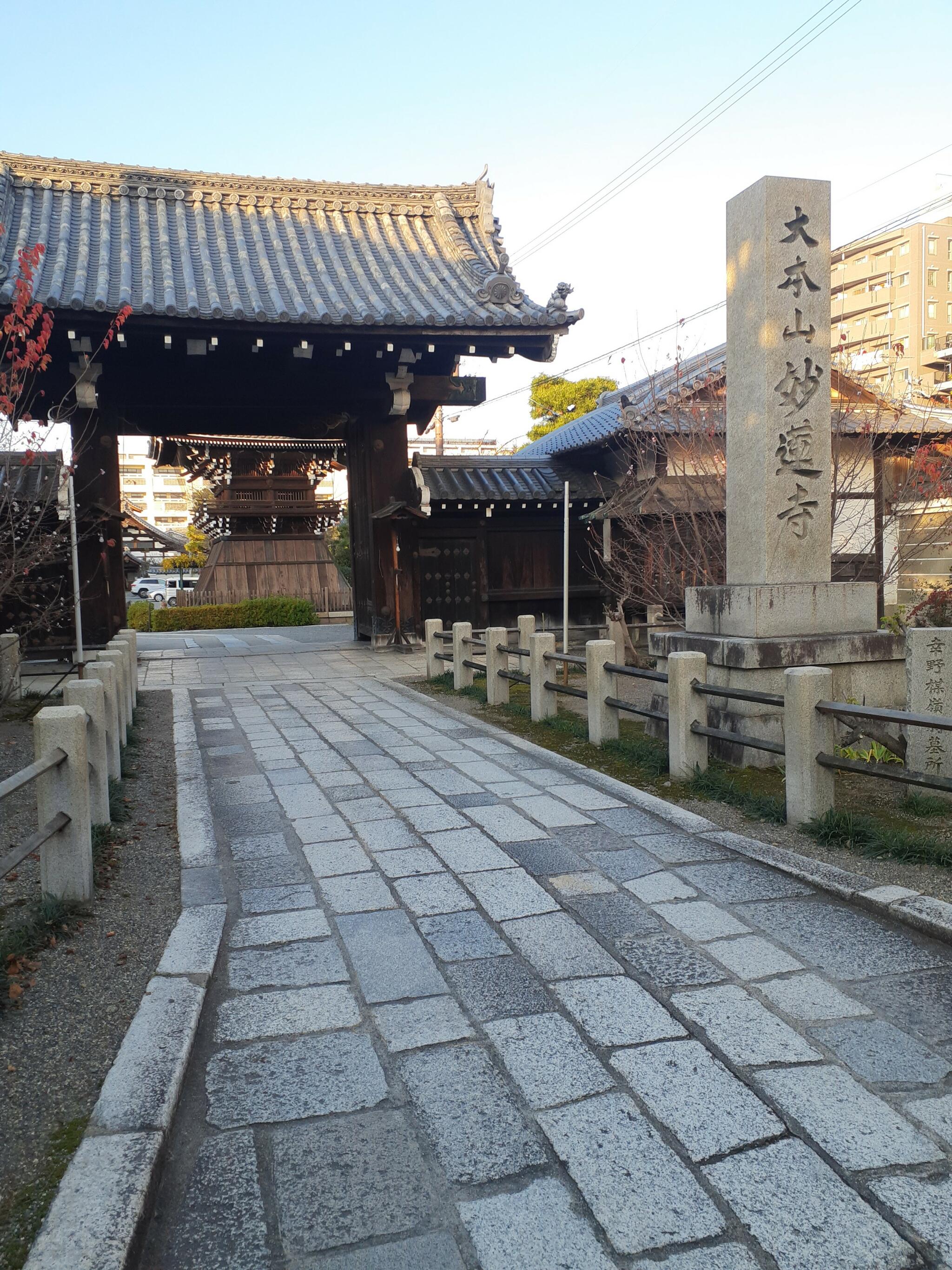 妙蓮寺の代表写真5