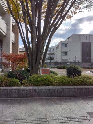 武蔵野市立 中央図書館のクチコミ写真1