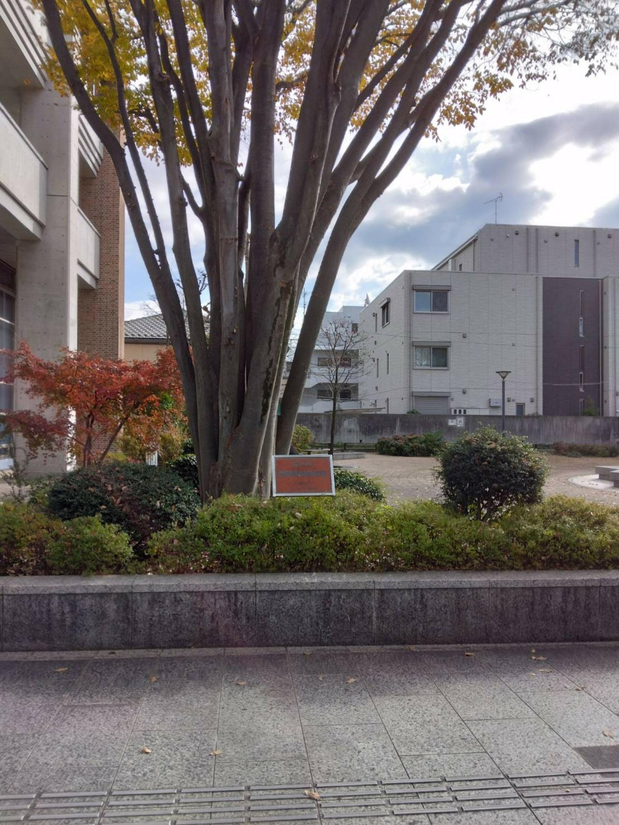 武蔵野市立 中央図書館の代表写真6