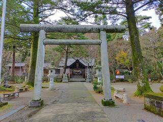 春日山神社のクチコミ写真3