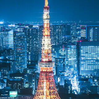 東京タワーの写真9