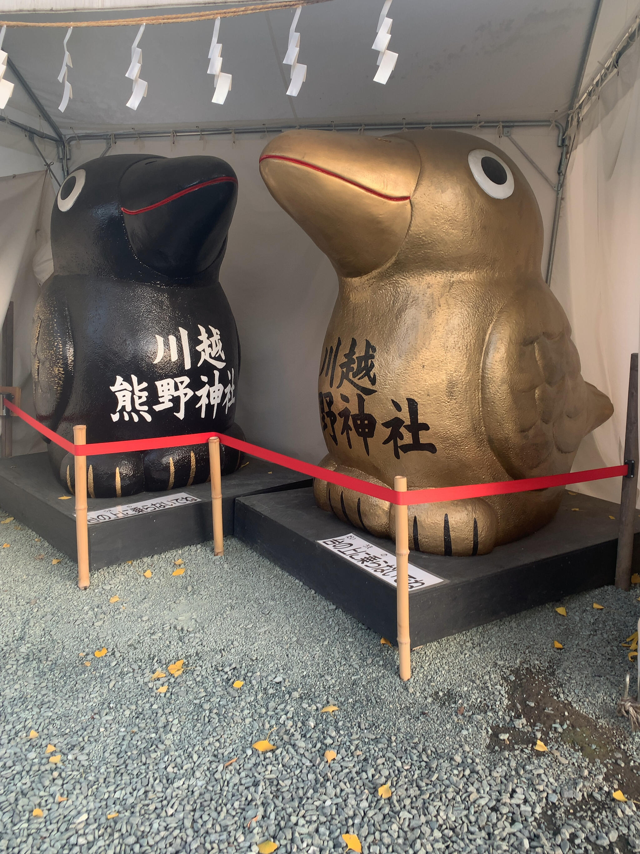 川越熊野神社の代表写真3