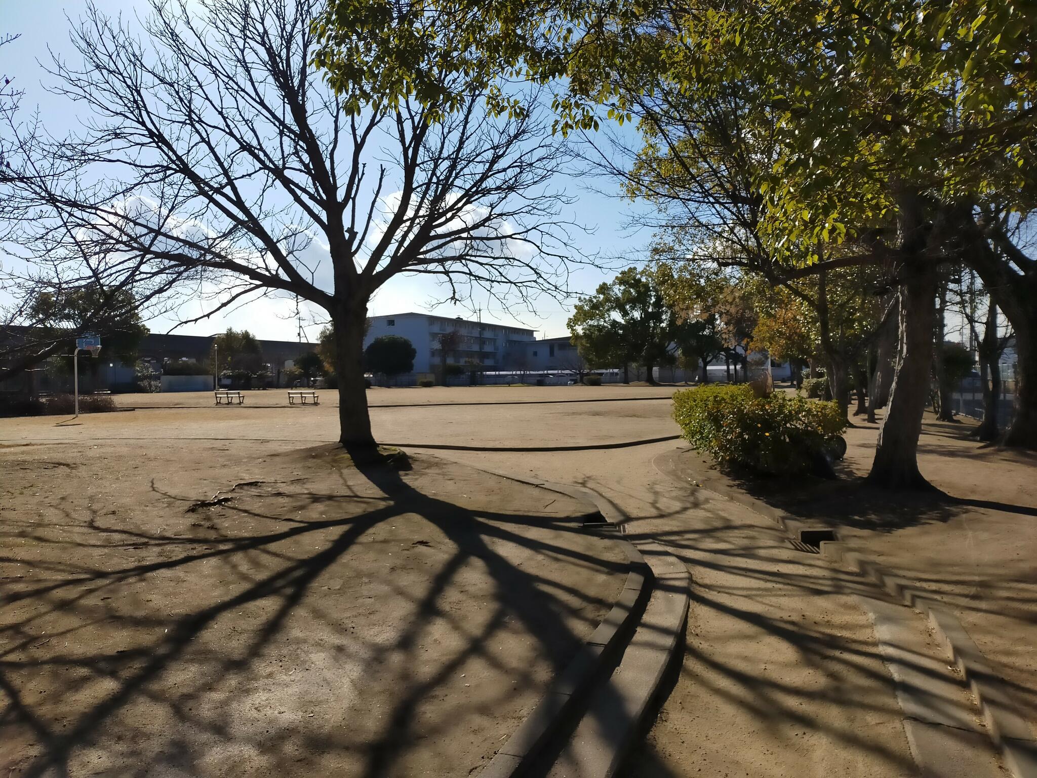 水島寿町公園の代表写真6