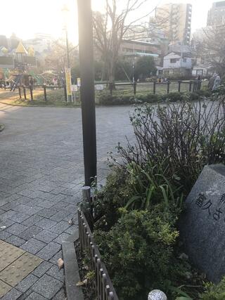 新宿区立富久さくら公園のクチコミ写真1
