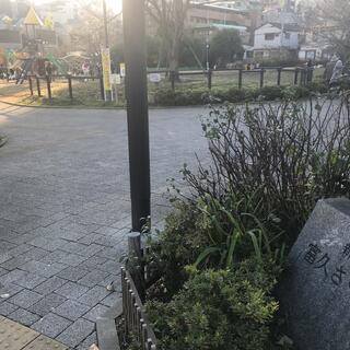 新宿区立富久さくら公園の写真3