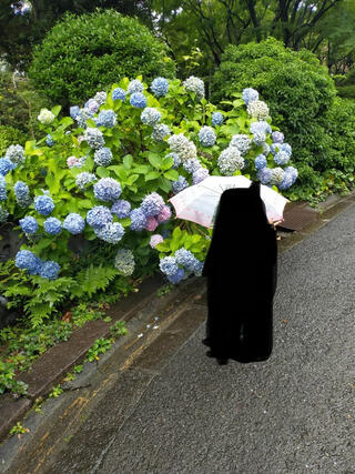 池田山公園のクチコミ写真1