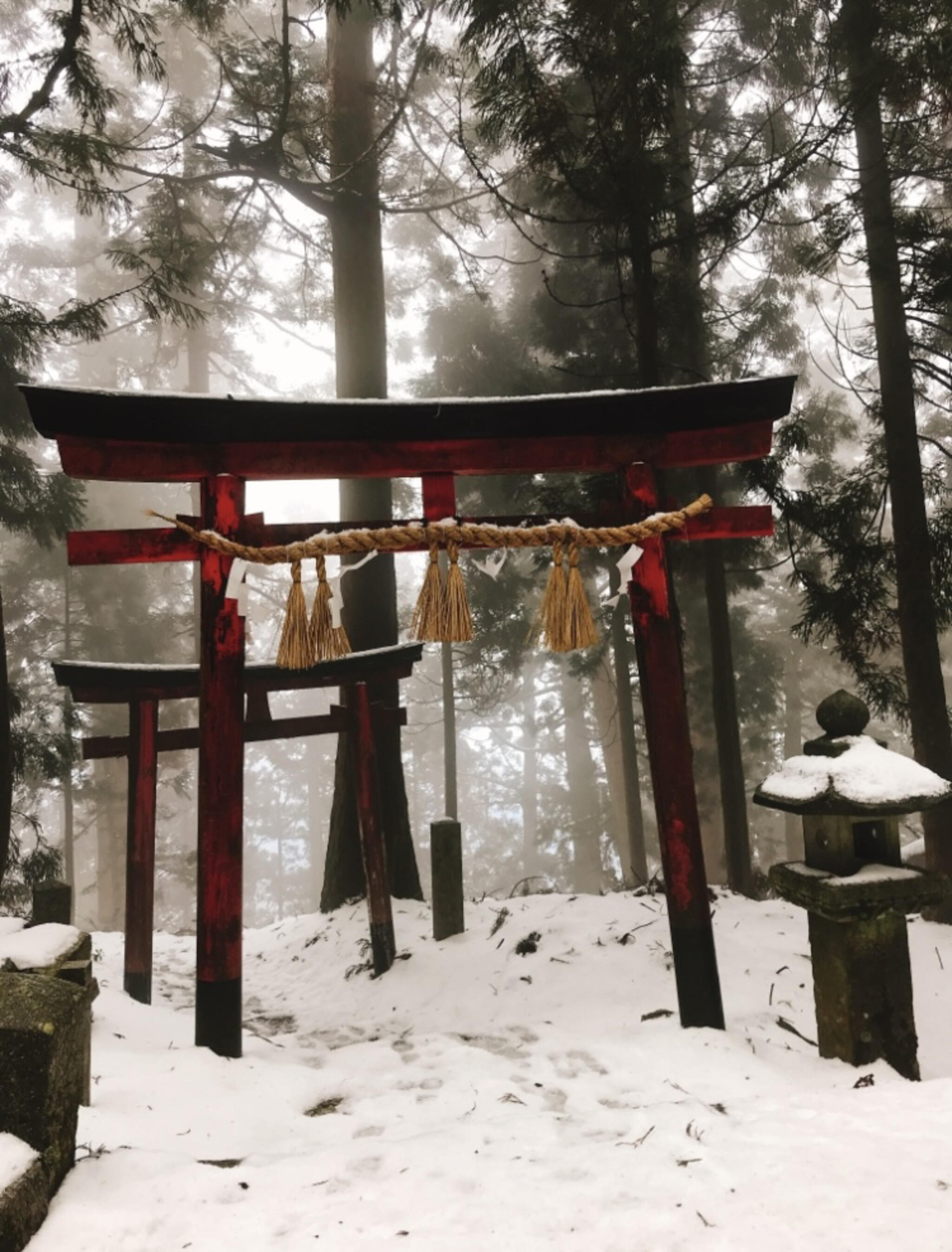 愛宕神社の代表写真8
