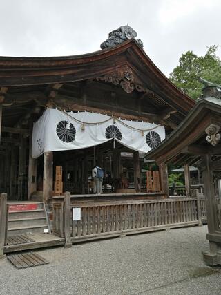 土佐神社のクチコミ写真4