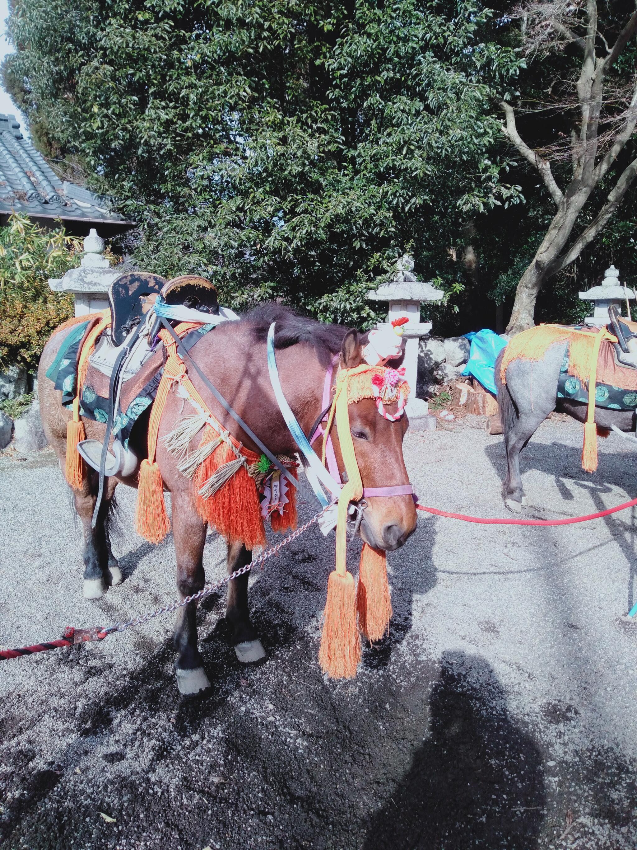 賀茂神社の代表写真10